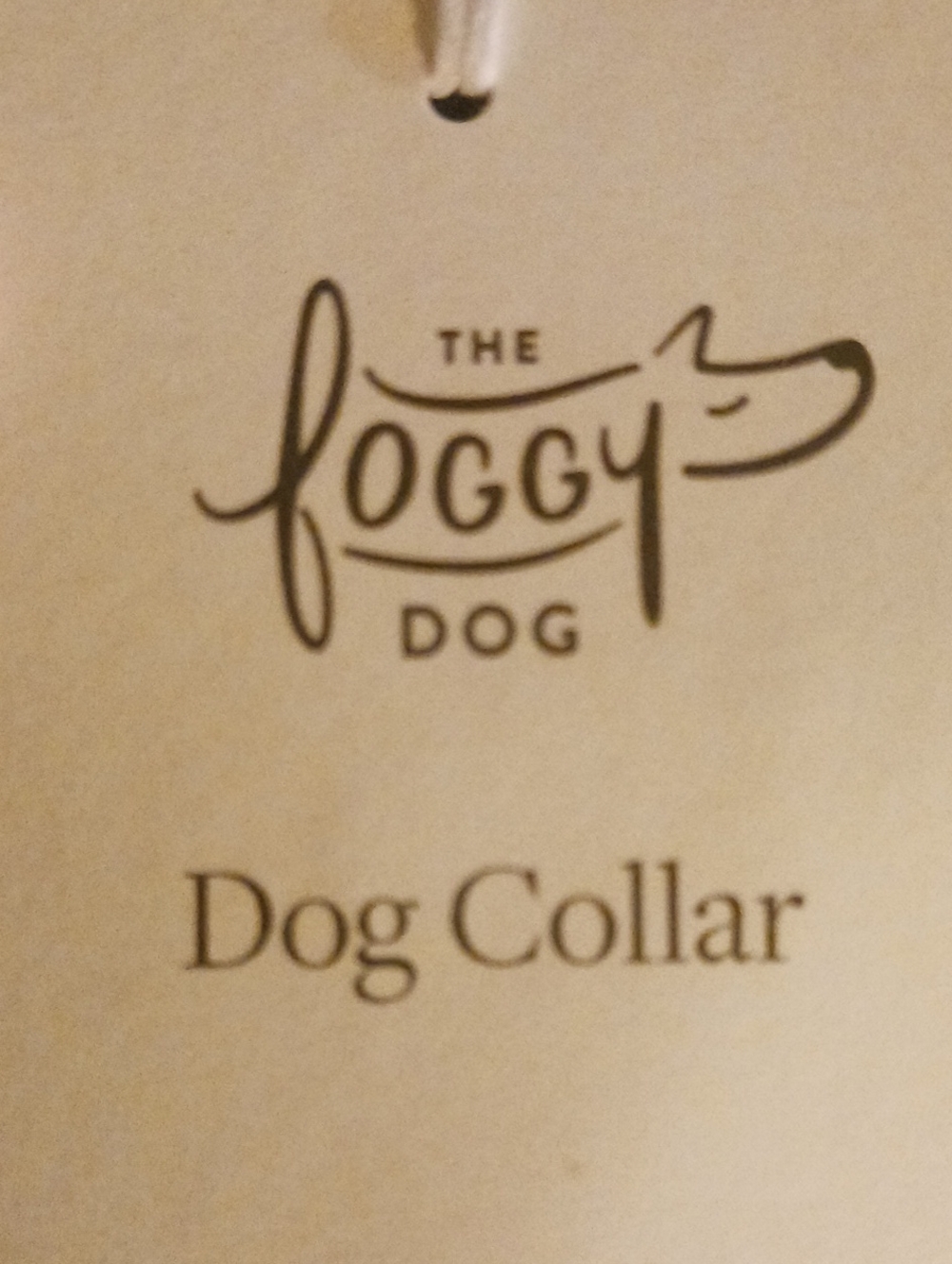 The Foggy Dog Floral Holiday Dog Collar 🐶
